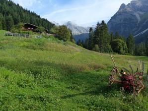 Heuwiese im unteren Wildental