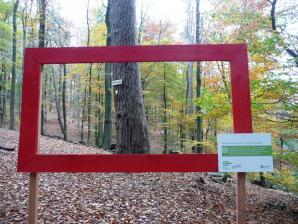 Waldbilder-eine Aktion des Forstamt Johanniskreuz