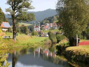 Bad Rippoldsau-Schapbach im Wolftal