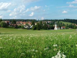 Besenfeld, der größte Teilort der Gemeinde Seewald