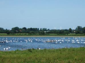 Naturschutzgebiet „Schwansener See“