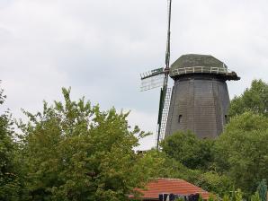 Windmühle in Holtum Geest (Kirchlinteln)