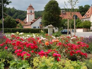 Der Rosenweg in Breitenbrunn 