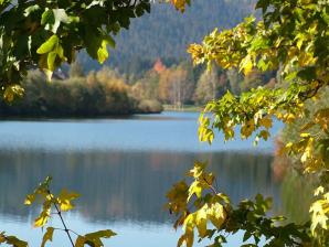 Goldener Oktober an der Nagoldtalsperre