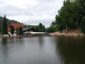 Bergsee Triberg