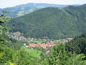 Stephen Lea,  lizenziert CC BY-SA 3.0 Wikimedia Buchenbach im Dreisamtal