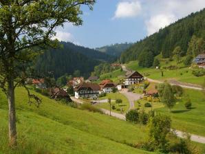 Blick auf Bad Rippoldsau-Schapbach