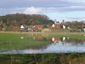 Altstadt (Kirkel) an der Blies. Im Vordergrund überschwemmte Wiesen