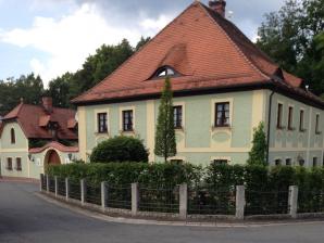 Voellmer90, lizenziert CC BY-SA 4.0, Wikimedia Schloß Zintlhammer, heute sehr gut erhalten