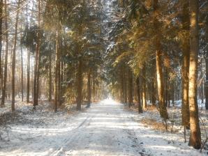Winterliche Landschaft vor Nordwalde