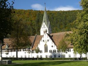 HAH, lizenziert unter CC BY 2.5 Wikimedia Kloster Blaubeuren