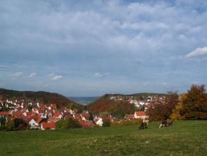 Blick auf Meßstetten