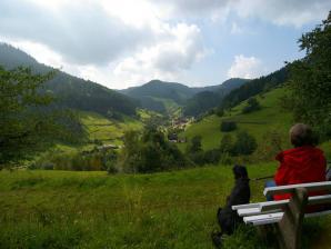 Bad Rippoldsau-Schapbach im Wolftal