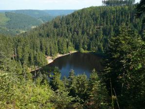 Der Glaswaldsee bei Bad Rippoldsau-Schapbach