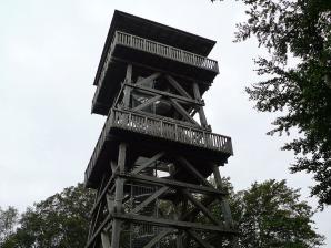 Holzbergturm, 28,5 Meter hoch aus Lärchenholz