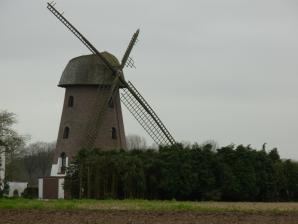 Mühle Mott
