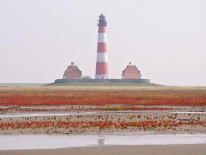 Chrender, lizenziert CC BY-SA 3.0 Wikimedia Salzwiese und Watt mit Leuchtturm Westerheversand