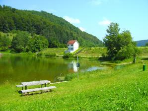 Stausee Kohlstatt-Brunnenbach in Meßstetten