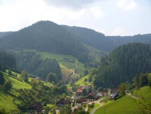 Bad Rippoldsau-Schapbach im Wolftal