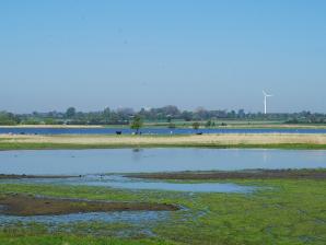 Naturschutzgebiet Schwansener See