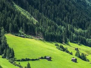 Bergwiesen am Visnitzbach in Kappl