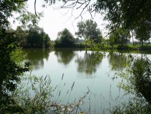 See in der Ederaue