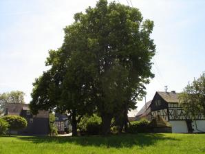 Historischer Ziehbrunnen
