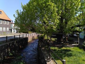 Der Bach Laucha in Bad Tabarz, rechts die Tanzlinde (Naturdenkmal)