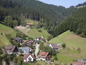 Blick auf das Wolftal