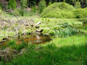 Wanderung ...