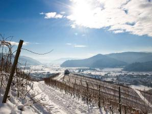 Winter in Gengenbach