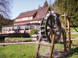 Kropfmühle Wasserrad in Seewald-Omersbach