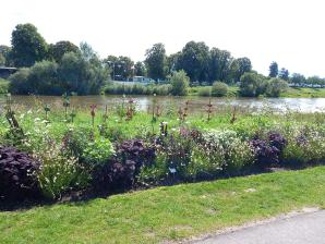 Blühstreifen an der Weserpromenade