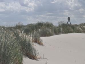 Naturschutzgebiet „De Hon“ im Osten der Insel