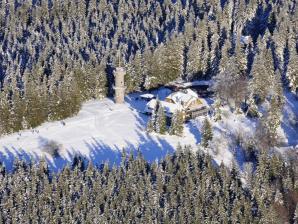 Der Berg Brend mit Aussichtsturm im Winter