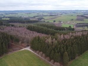 Wandern in Winterspelt