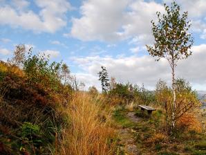 Wanderweg am Tönsberg