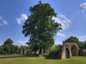 Der Innehof der Burgruine