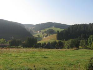 Blick ins Tal