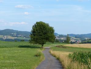 Blick auf Prackenbach