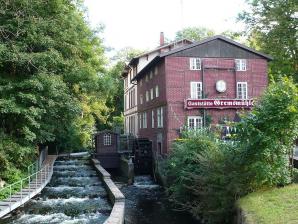 Gremsmühle mit Fischtreppe in Bad Malente