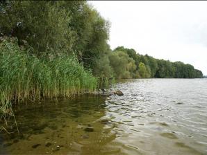Der Wittensee in der Nähe von Bünsdorf