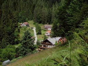 Landschaft in Seewald-Schorrental