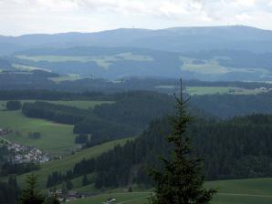 Blick vom Brendturm auf den Feldberg