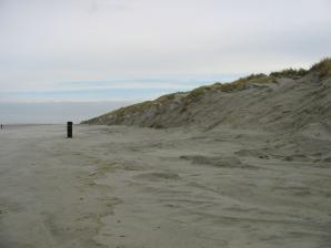 Die Dünenlandschaft auf Ameland