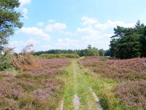 Hügelgräberheide bei Kirchlinteln