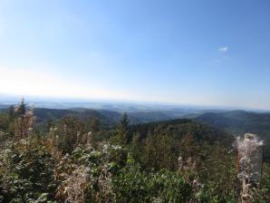 Blick vom Ravensberg