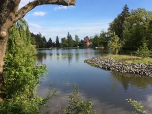 Der Schmelzteich im Vitalpark 