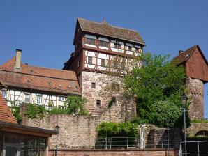 Altensteiger Schloss