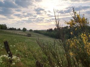 Wiesenlandschaft Prümer Land